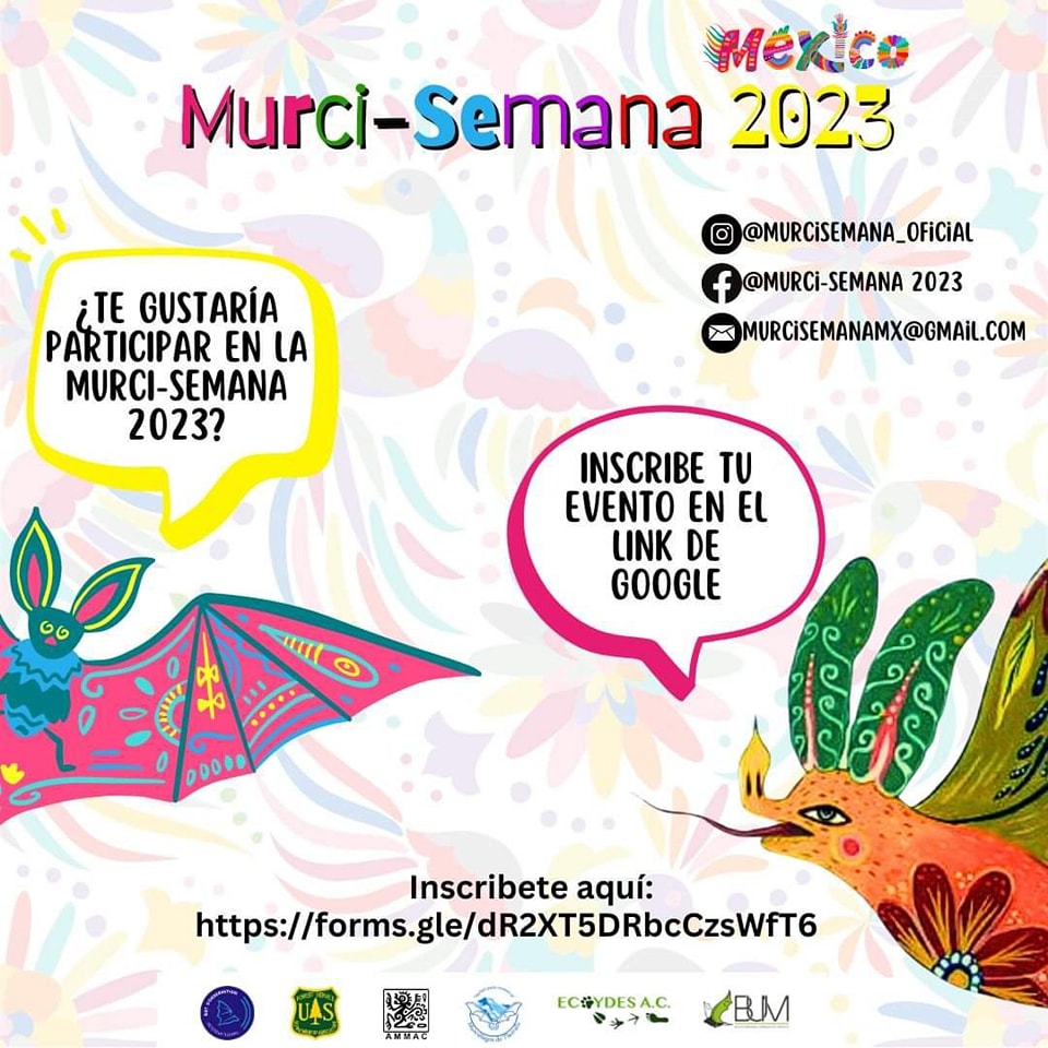  Murci semana 2023